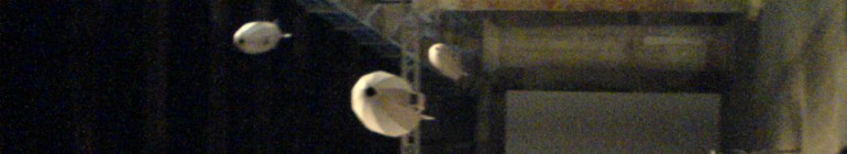 Biennale di Venezia&nbsp;2009